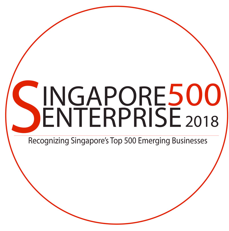 Singapore Accounting Firm 1 Car decal